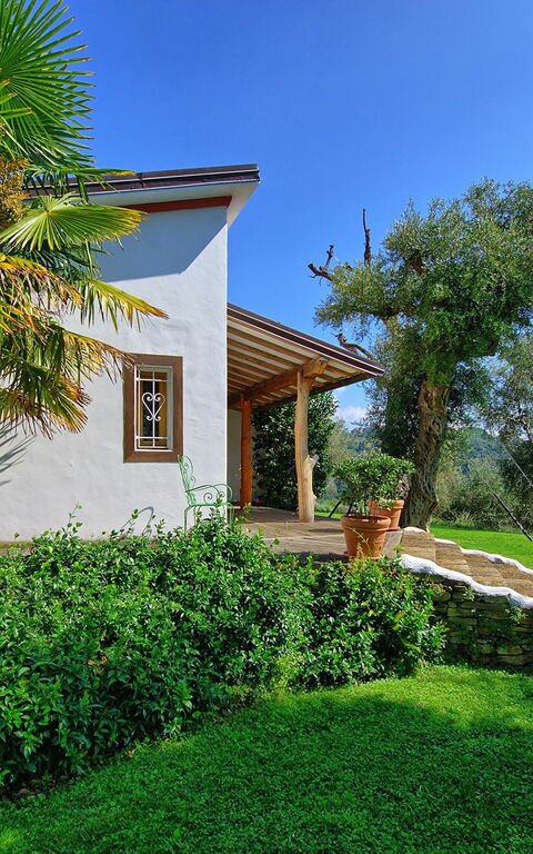 Villa Oliveta: all'aperto, Giardino