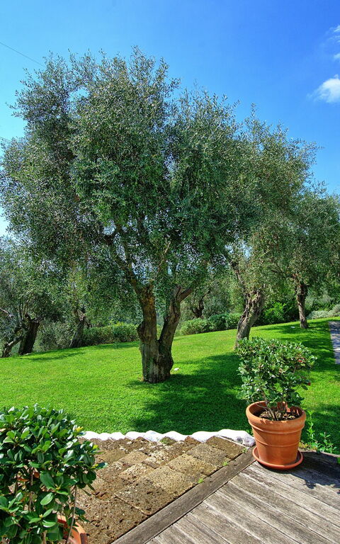 Villa Oliveta: Piscina, Vista Panoramica