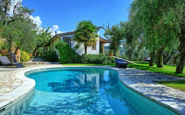 Villa Oliveta: Estate, Piscina