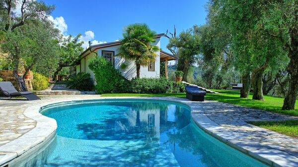 Villa Oliveta: Estate, Piscina