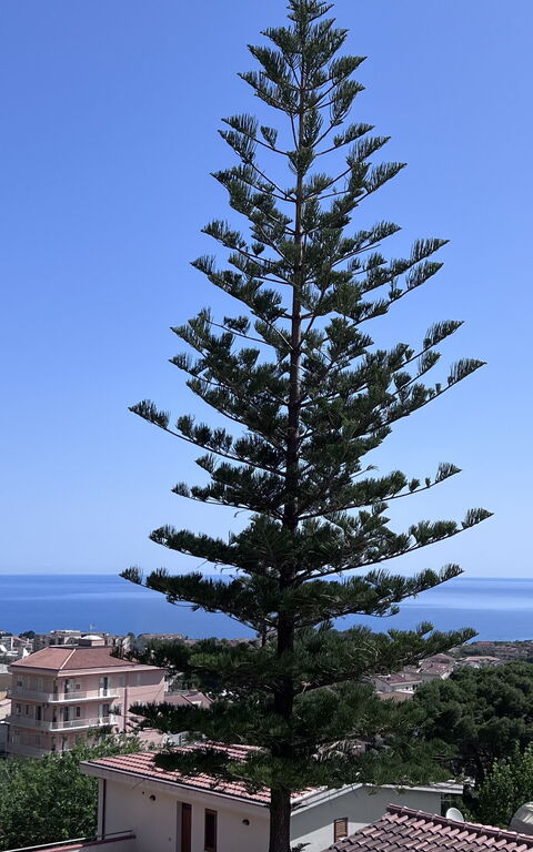 Castellammare: Vista Panoramica