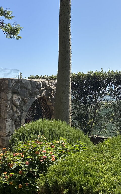 Castellammare: Esterni, Giardino