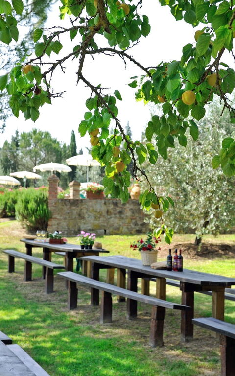 Montelopio: all'aperto, Giardino