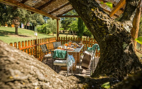 Alloggio Montelopio 7: all'aperto, Giardino