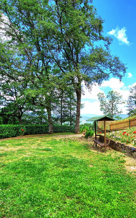 Villa Margherita: Giardino