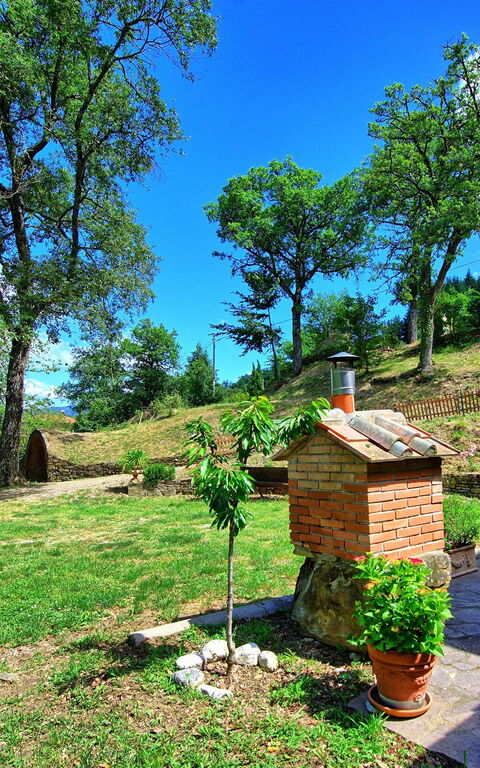 Villa Margherita: Giardino