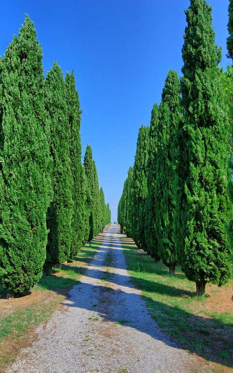 Casale Giulio: Vista Panoramica