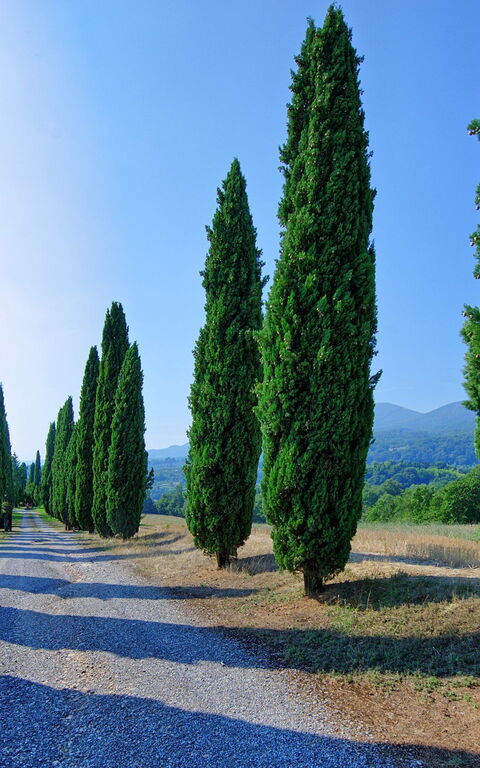 Casale Giulio: Vista Panoramica