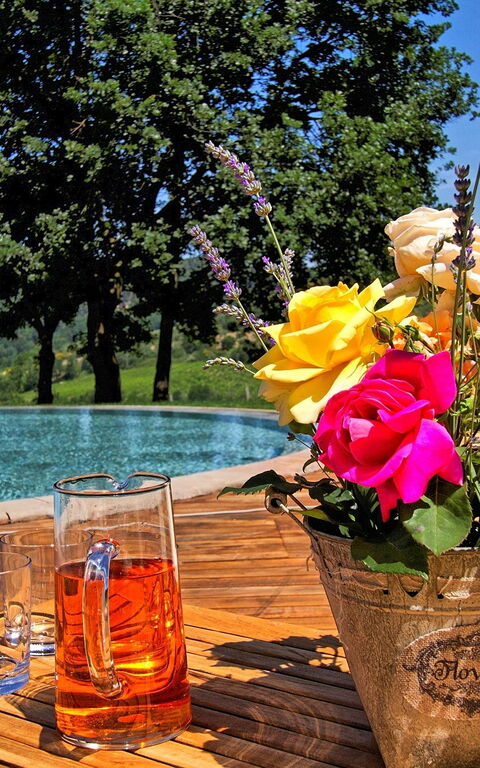 Villa Petrognano: all'aperto, Piscina, Vista Panoramica