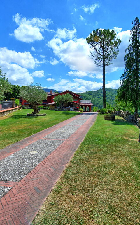 Villa Contessa: Giardino