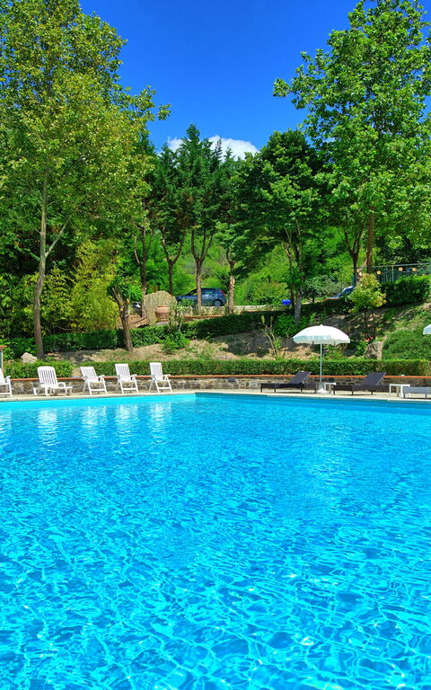 Villa Contessa: Piscina