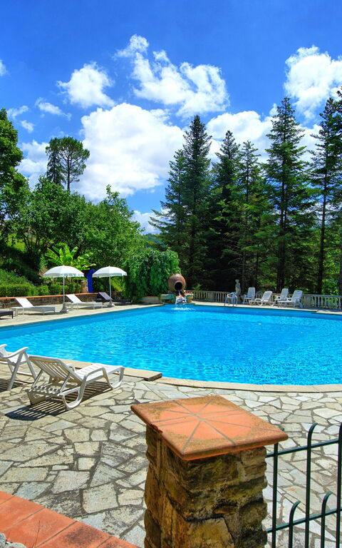 Villa Contessa: Piscina