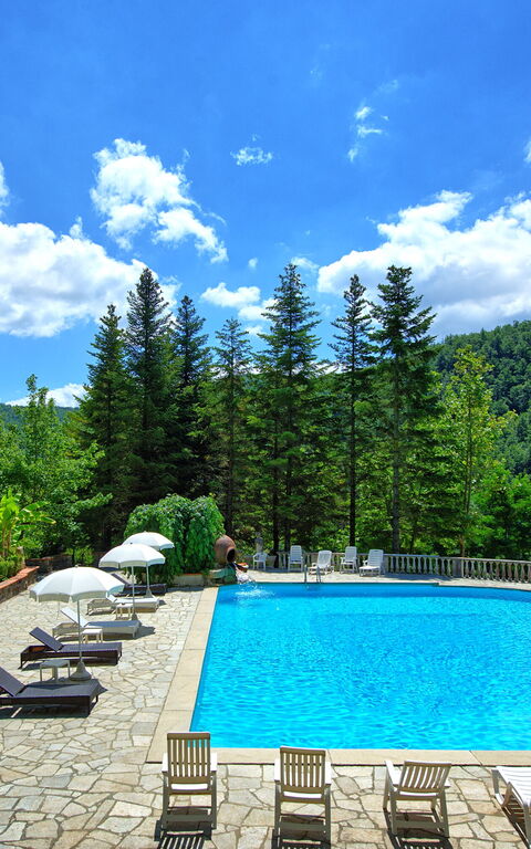 Villa Contessa: Piscina