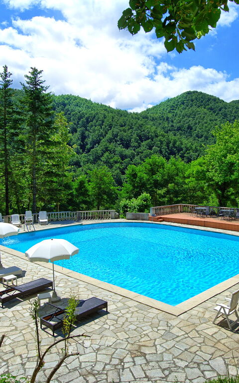 Villa Contessa: Giardino, Piscina