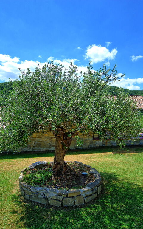 Villa Contessa: Esterni, Giardino