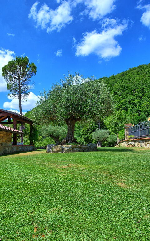 Villa Contessa: Giardino