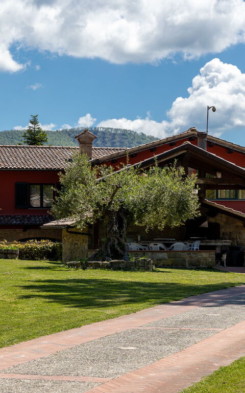 Villa Contessa: all'aperto, Esterni, Giardino