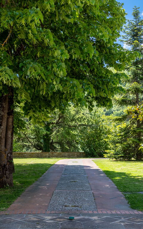 Villa Contessa: all'aperto, Giardino