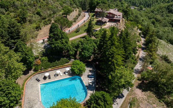 Villa Contessa: Piscina