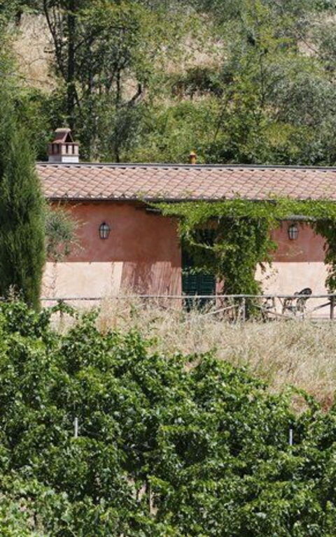 La Selva: all'aperto, Giardino