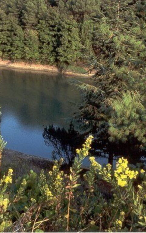 La Selva: Vista Panoramica