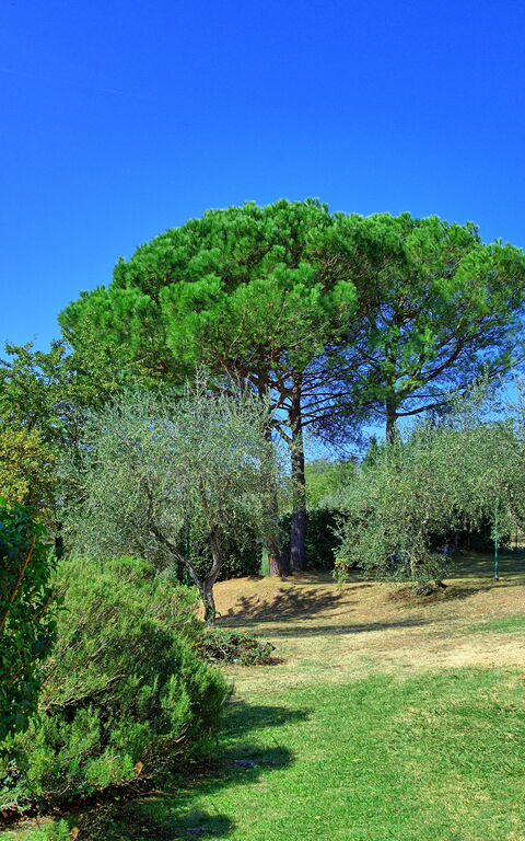 La Selva: Giardino