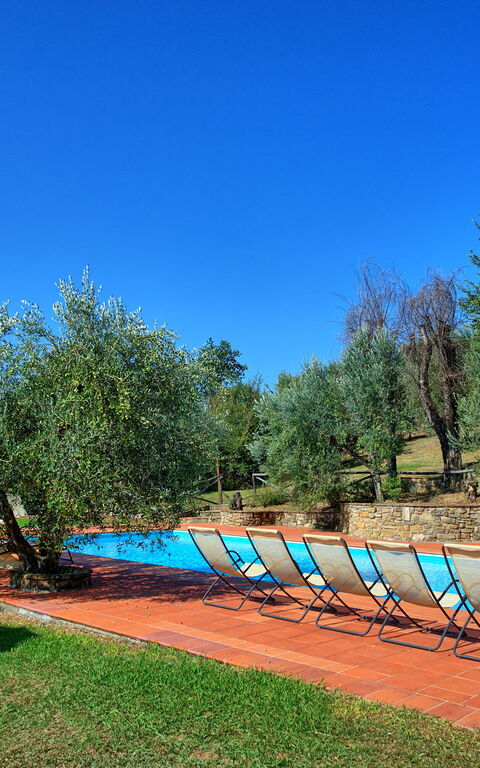 La Selva: Giardino, Piscina