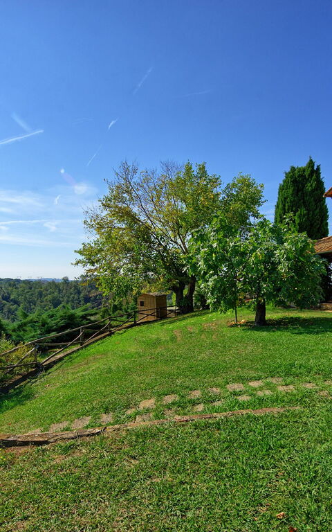 Il Frantoio: Giardino