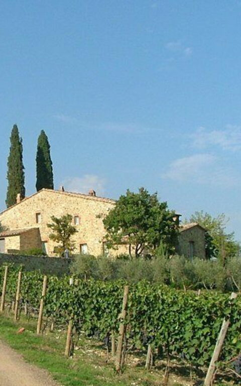 Brunello: Vista Panoramica