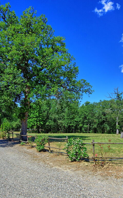 San Donato: Giardino