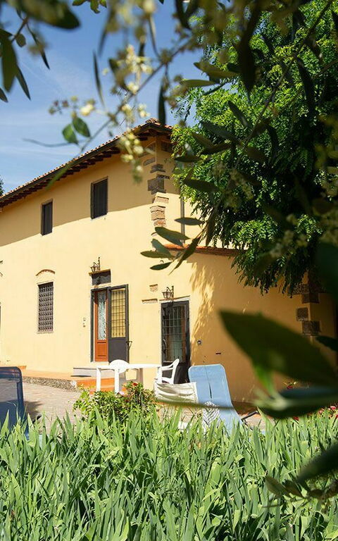 Le Vasche: all'aperto, Giardino