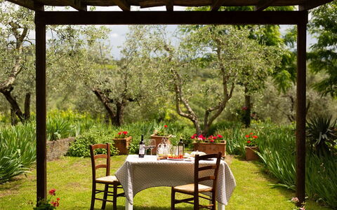 Alloggio Vasche 4: all'aperto, Esterni