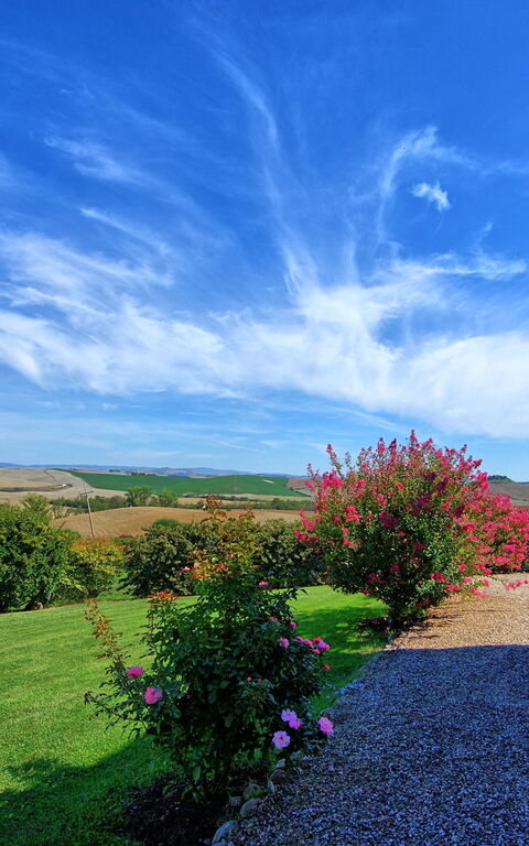 San Donnino: all'aperto, Giardino
