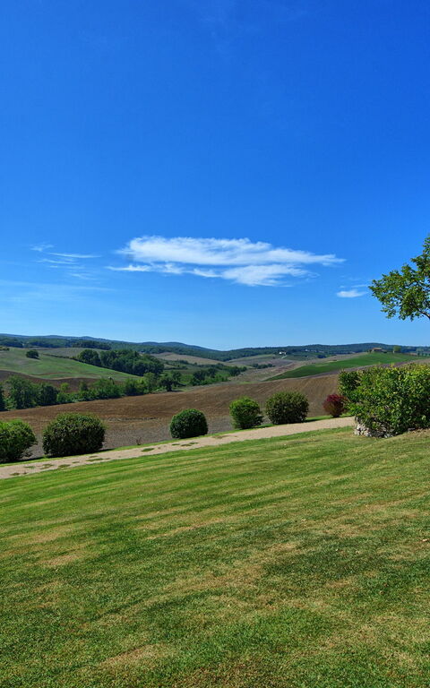 San Donnino: all'aperto, Giardino