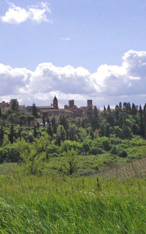 Certaldo: Vista Panoramica