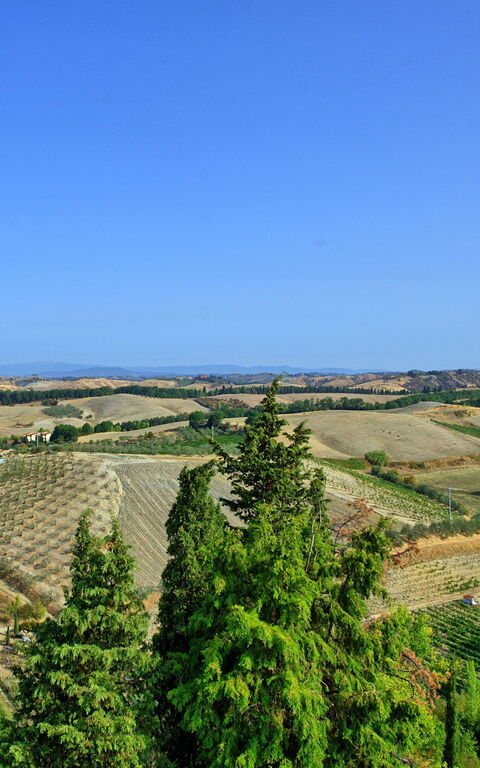 Certaldo: Vista Panoramica
