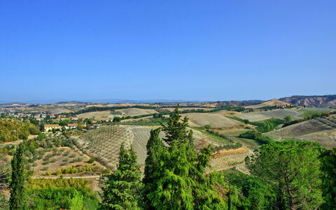 Alloggio Certaldo 2: Vista Panoramica