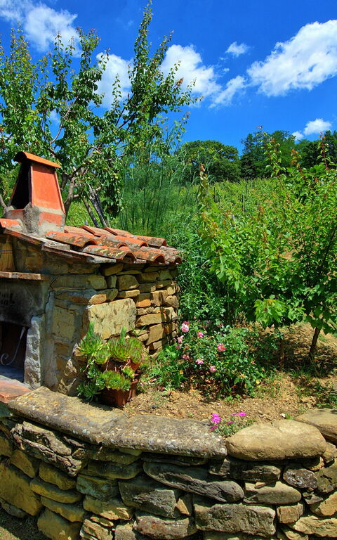 Villa Lo Scoiattolo: all'aperto, Giardino