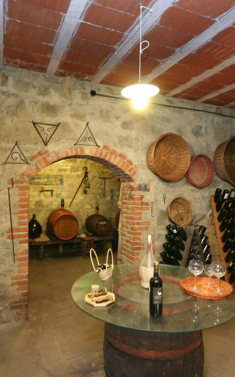 Villa Lo Scoiattolo: Attività