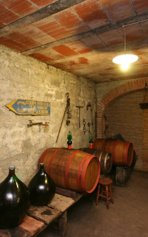 Villa Lo Scoiattolo: Attività