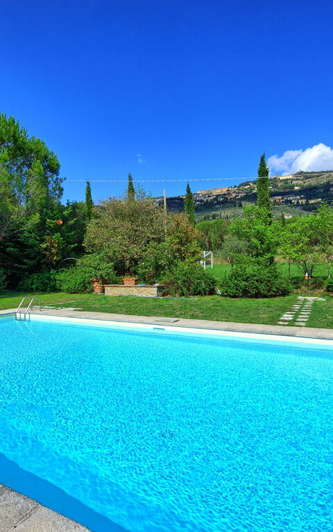 Villa Elisa: Piscina