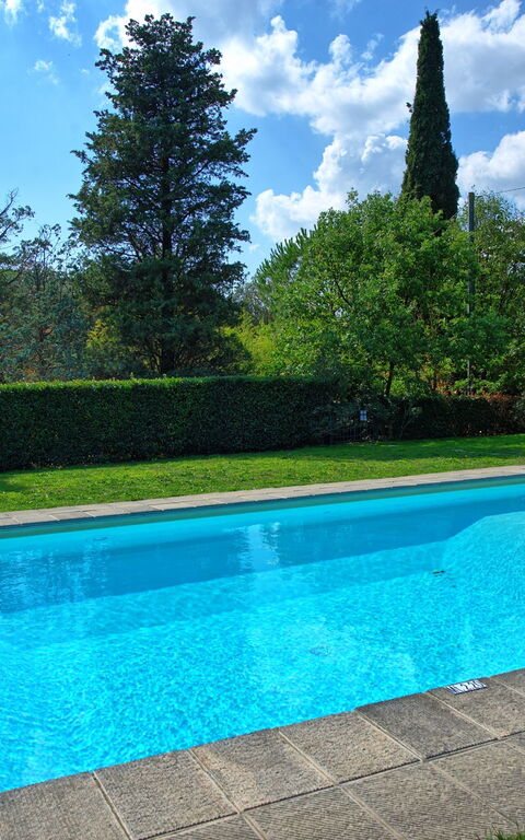 Villa Elisa: Piscina