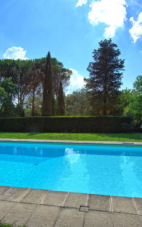 Villa Elisa: Piscina
