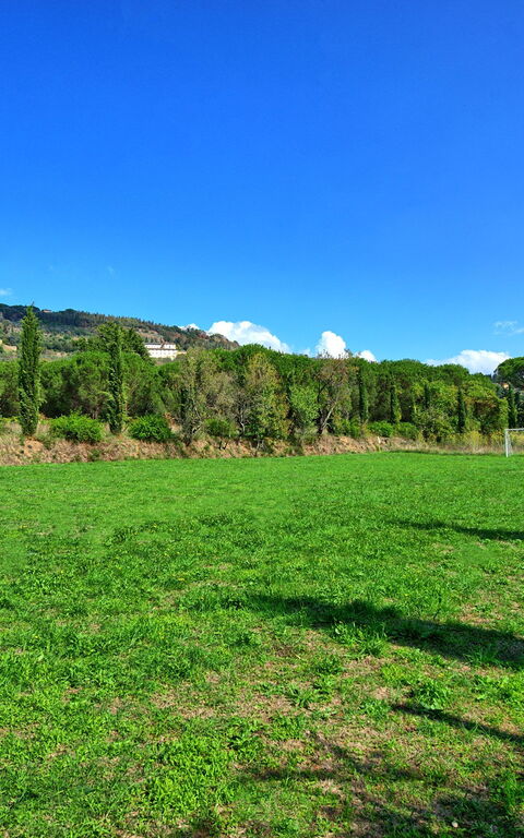 Villa Elisa: Giardino