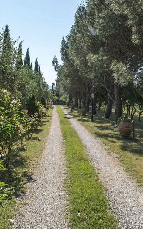 Villa Elisa: Giardino