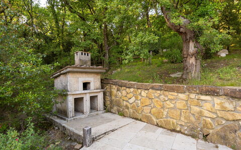 Alloggio Fontana 1: Giardino
