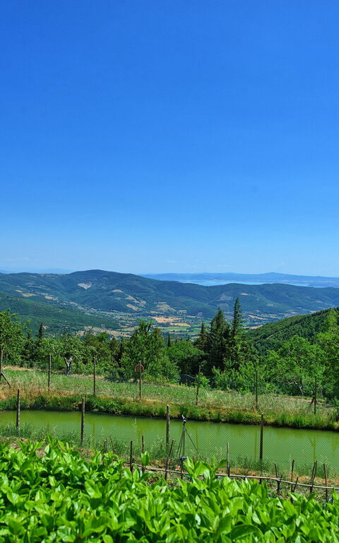 Il Salice: Vista Panoramica