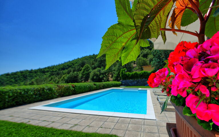 Il Salice: Piscina