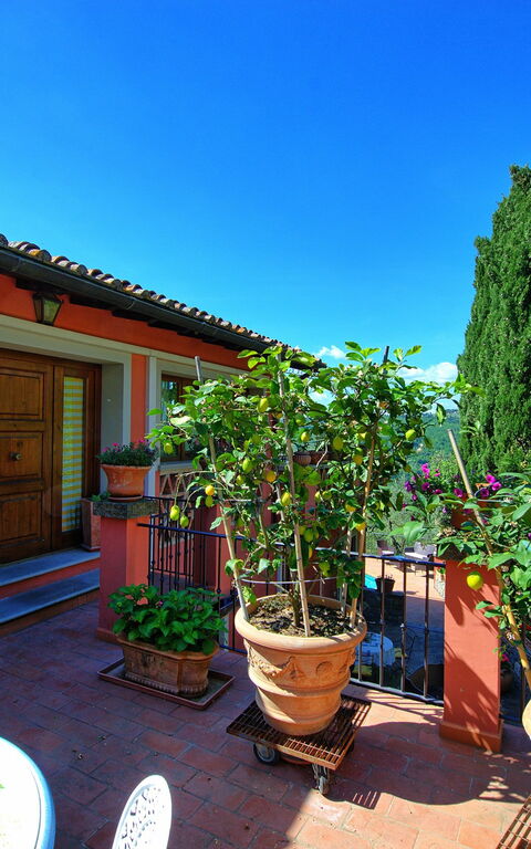 Casa Vania: all'aperto, Giardino