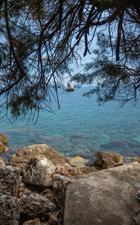 Villa Contrada: all'aperto